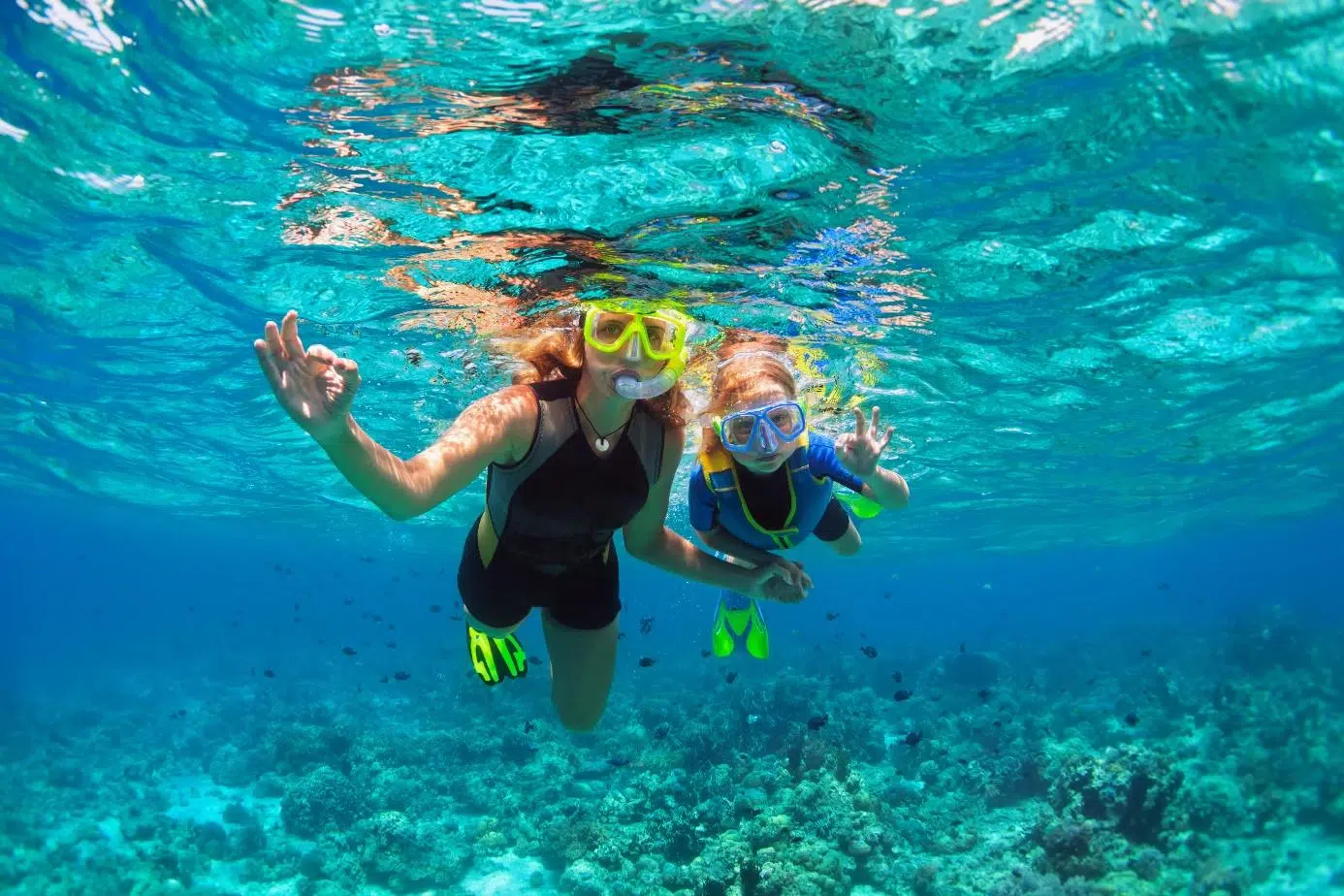 Snorkeling Adventure