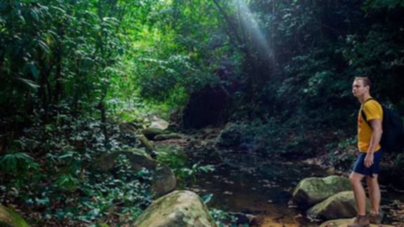 Rainforest Hiking